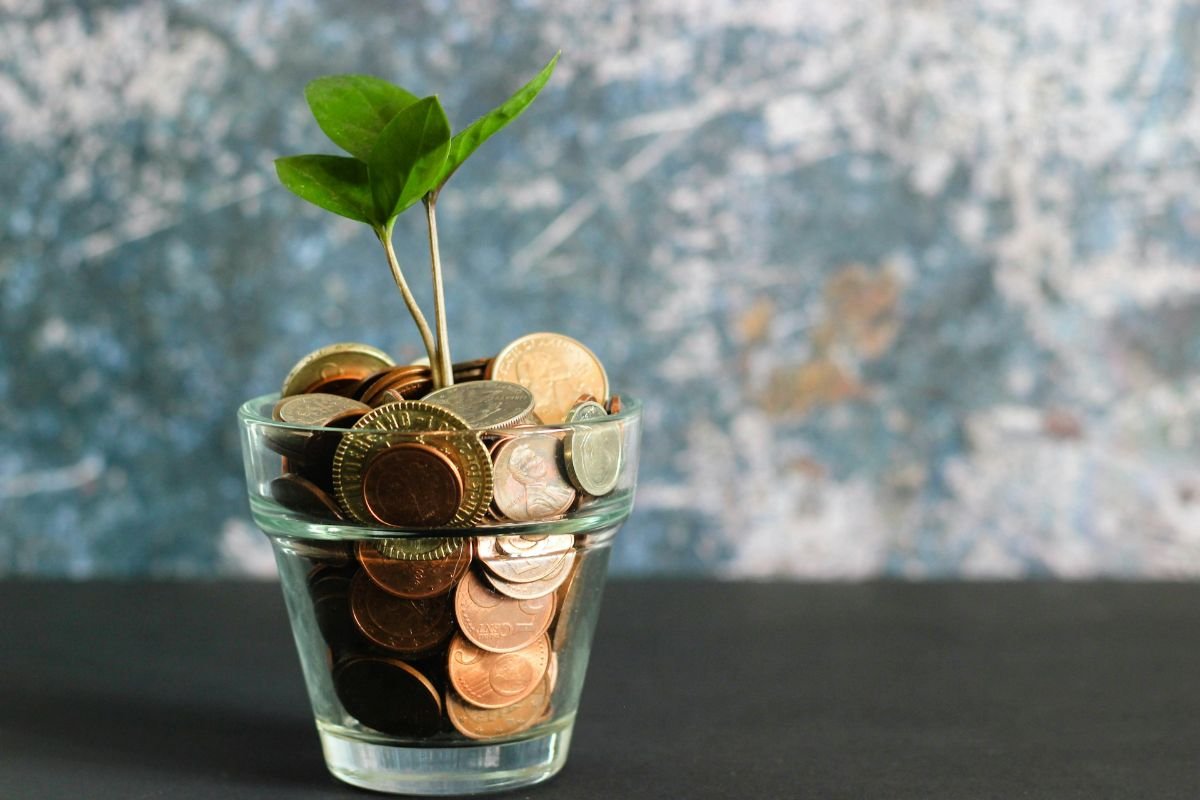 Looking to Grow Your Money? Read This First
