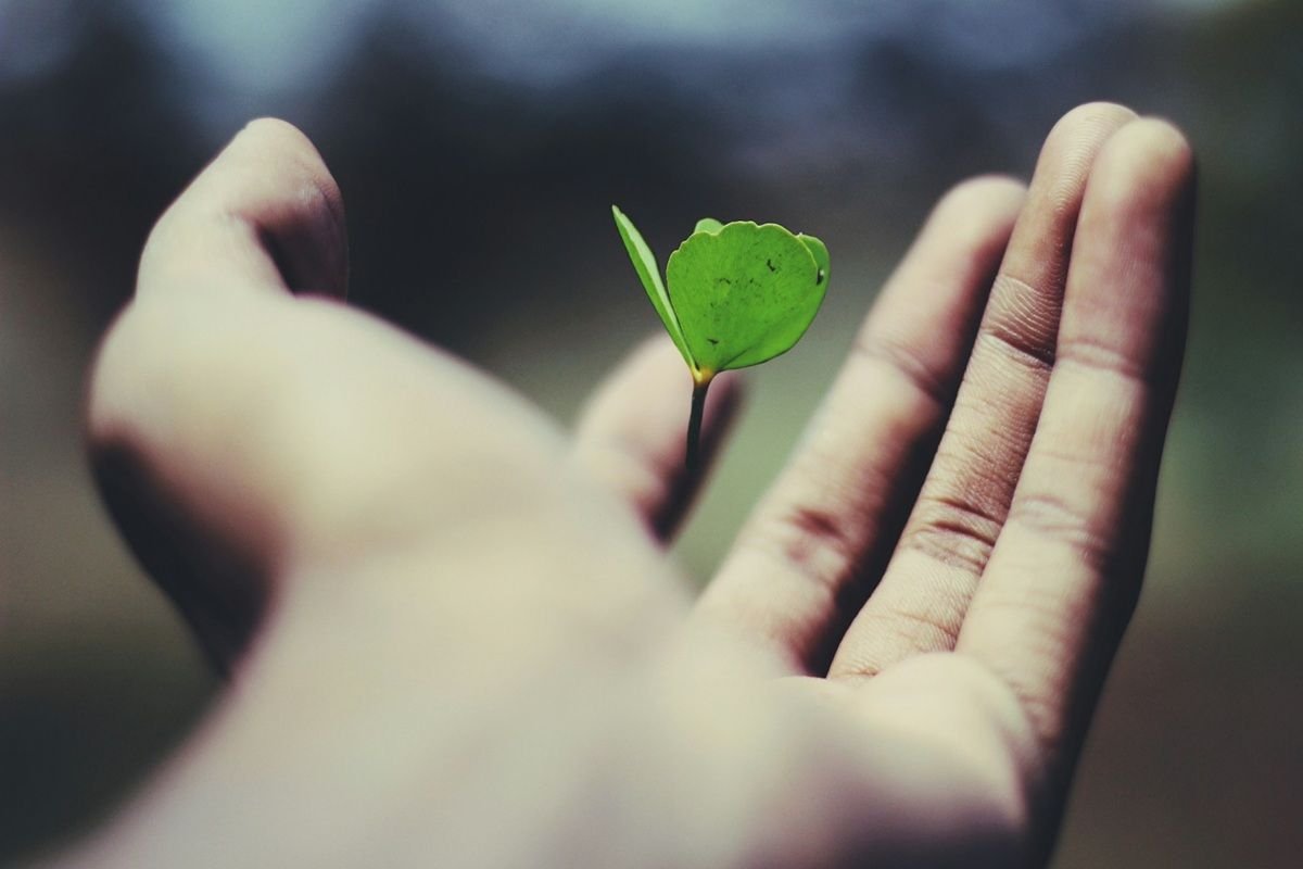 Lifetime Financial Protection: Is It Right for You?