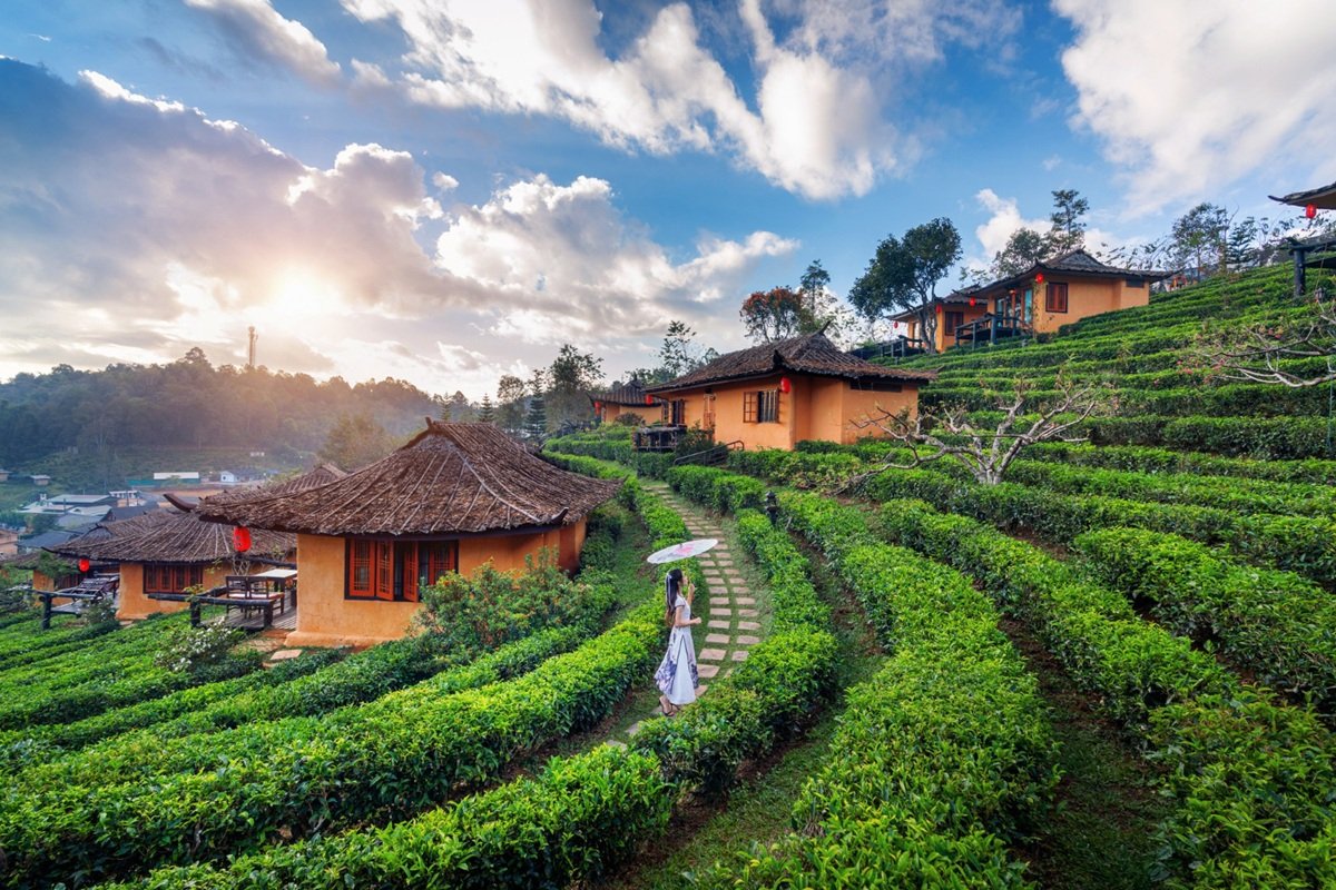 Tea Gardens, Misty Hills and Family Memories: The Munnar Formula